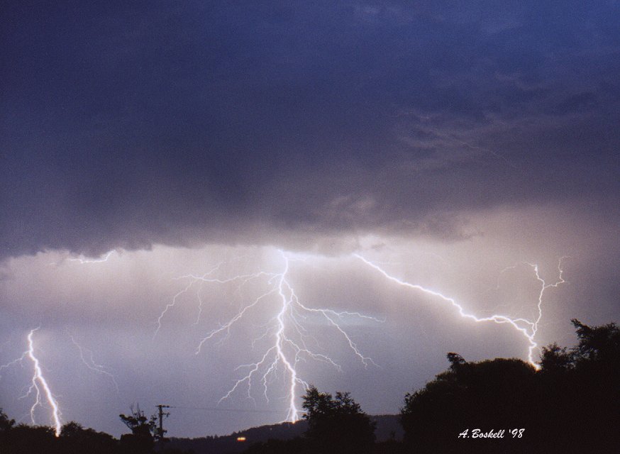 contributions received : Latrobe, TAS<BR>Photo by Andrew Boskell   24 December 1998