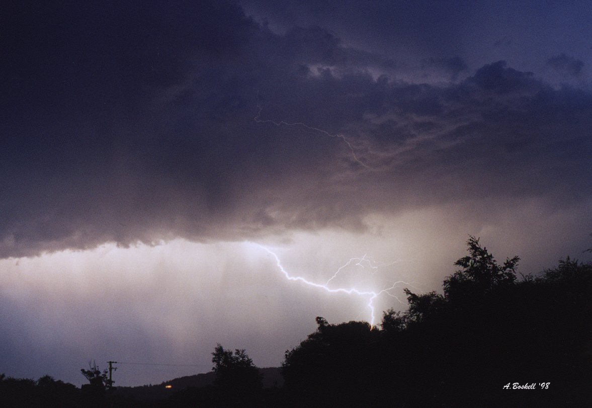 contributions received : Latrobe, TAS<BR>Photo by Andrew Boskell   24 December 1998