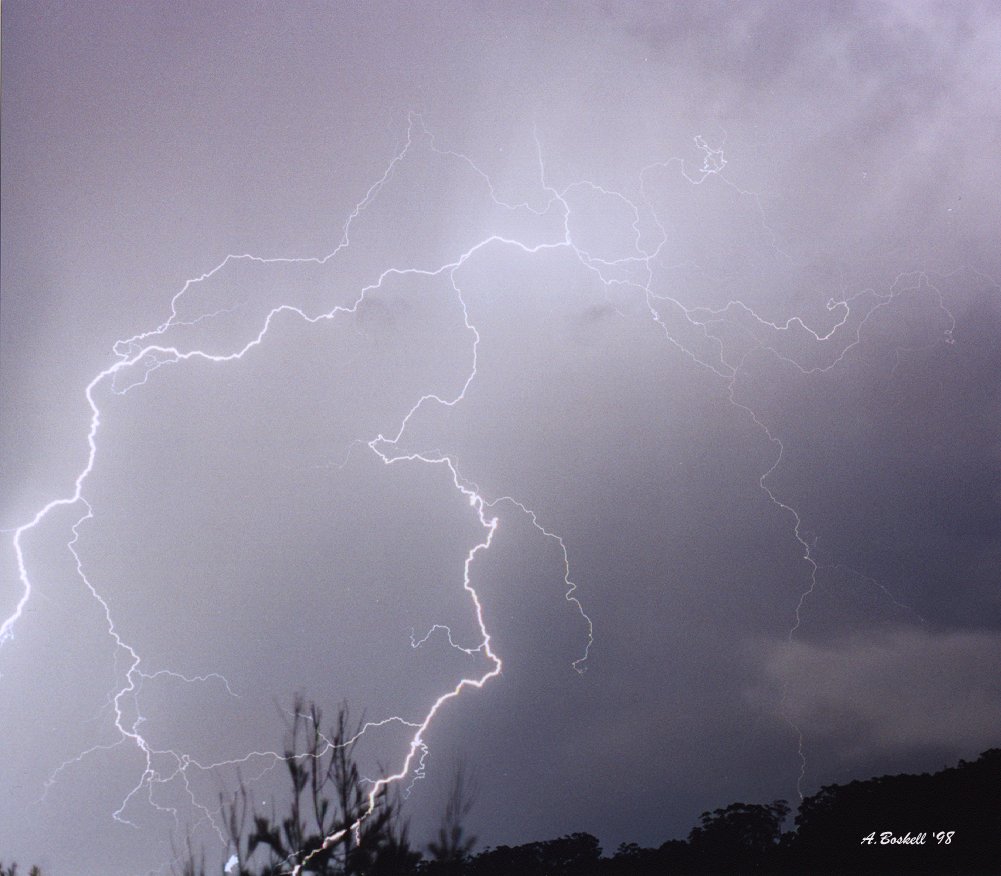 contributions received : Latrobe, TAS<BR>Photo by Andrew Boskell   24 December 1998