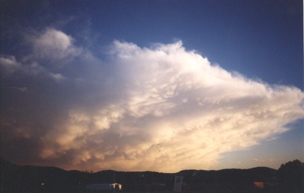 contributions received : Boronia, VIC<BR>Photo by David Jeffrey   24 December 1998