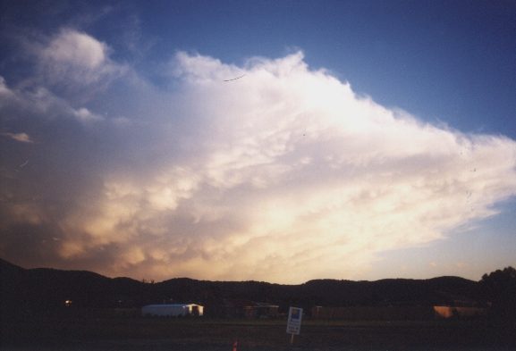 contributions received : Boronia, VIC<BR>Photo by David Jeffrey   24 December 1998