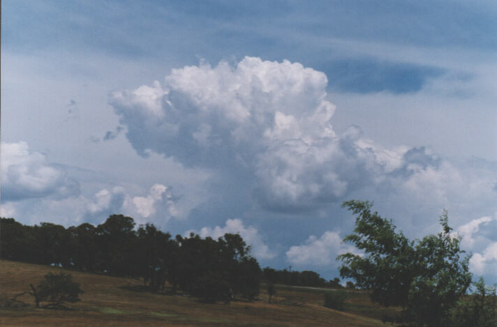 cirrostratus cirrostratus_cloud : west of Lithgow, NSW   26 December 1998