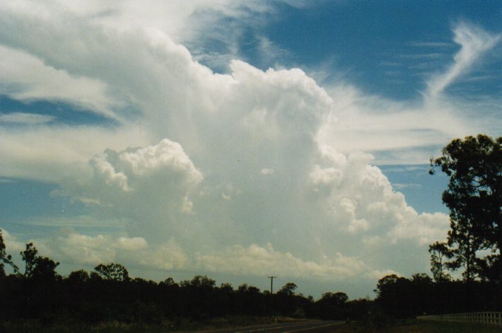 cirrus cirrus_cloud : N of Grafton, NSW   30 December 1998