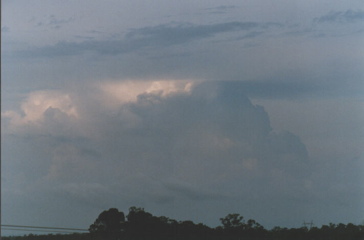 stratus stratus_cloud : Schofields, NSW   1 January 1999