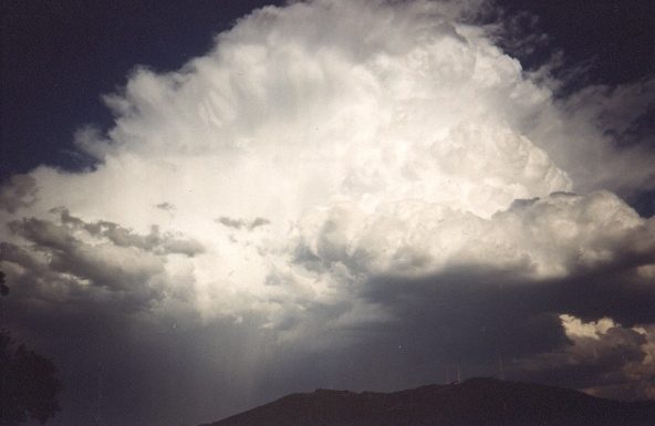 contributions received : Boronia, VIC<BR>Photo by David Jeffrey   2 January 1999