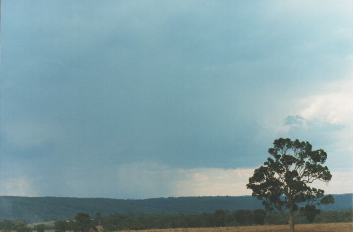 cumulonimbus thunderstorm_base : Mulgoa, NSW   19 January 1999