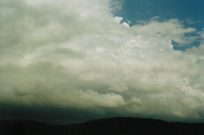 cumulus congestus : Castlereagh, NSW   23 January 1999