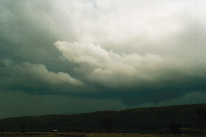 cumulonimbus thunderstorm_base : Castlereagh, NSW   23 January 1999