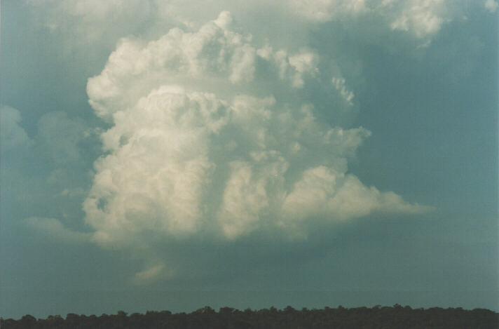 updraft thunderstorm_updrafts : Schofields, NSW   29 January 1999