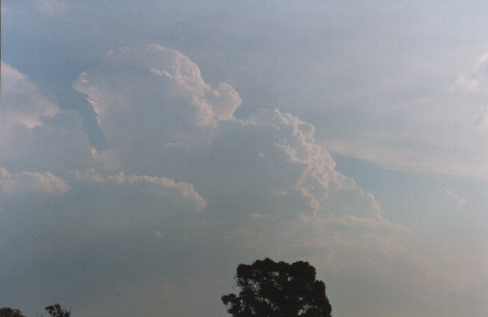 cirrus cirrus_cloud : Schofields, NSW   29 January 1999