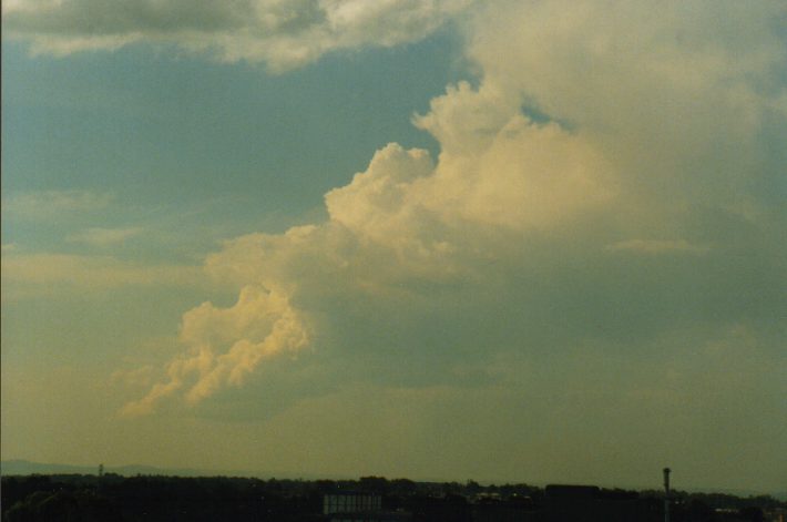 cumulus congestus : Rooty Hill, NSW   29 January 1999