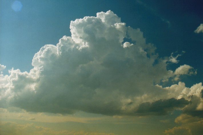 cumulus congestus : Rooty Hill, NSW   29 January 1999