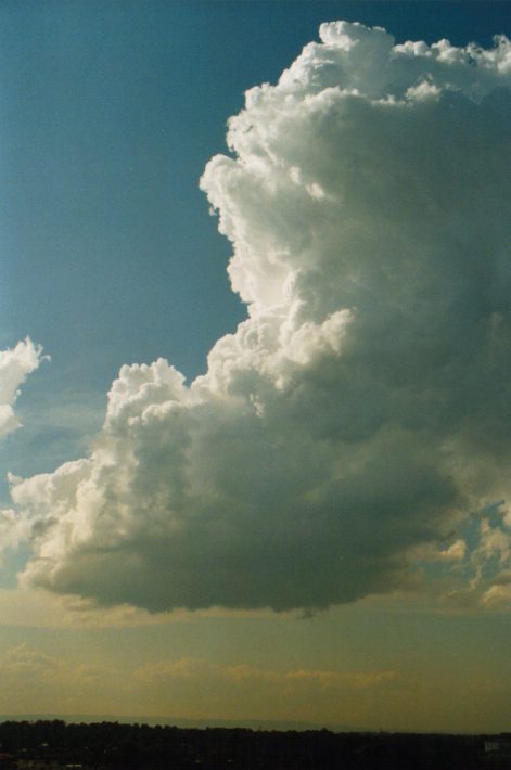 cumulus congestus : Rooty Hill, NSW   29 January 1999