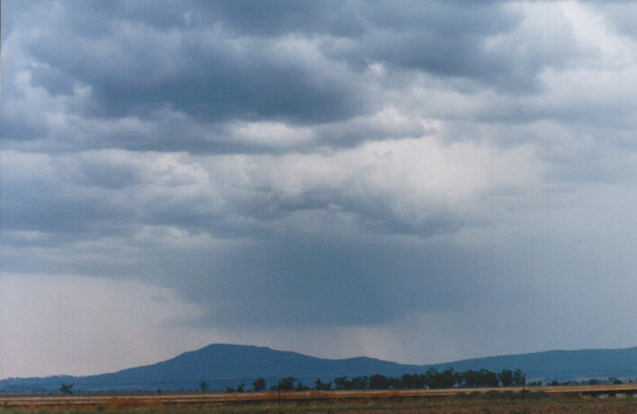 cumulonimbus thunderstorm_base : Breeza Plains, NSW   30 January 1999