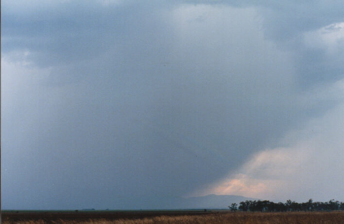 raincascade precipitation_cascade : Breeza Plains, NSW   30 January 1999