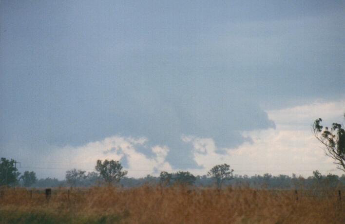 cumulonimbus thunderstorm_base : Gunnedah, NSW   30 January 1999
