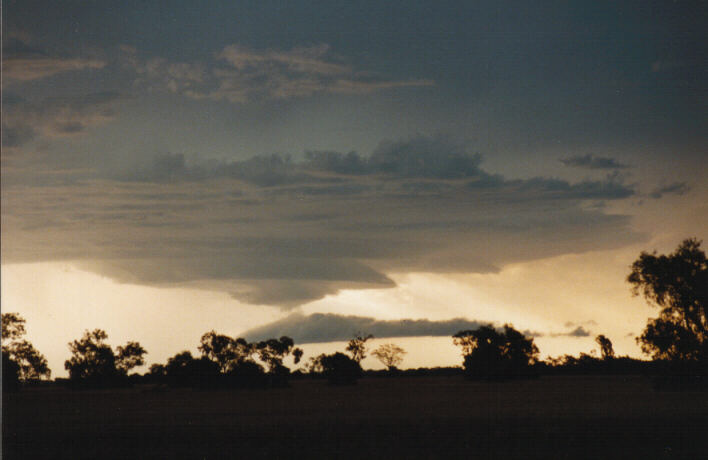 cumulonimbus thunderstorm_base : Moree, NSW   30 January 1999