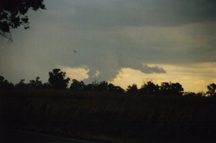 wallcloud thunderstorm_wall_cloud : NW of Gunnedah, NSW   30 January 1999