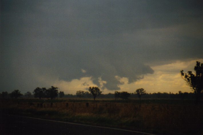 cumulonimbus thunderstorm_base : NW of Gunnedah, NSW   30 January 1999