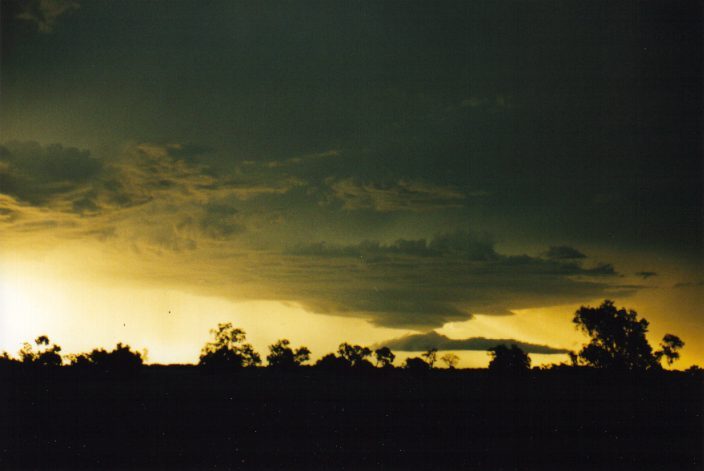 cumulonimbus thunderstorm_base : W of Moree, NSW   30 January 1999