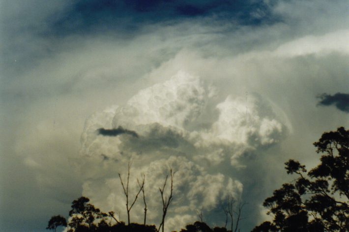 cumulonimbus supercell_thunderstorm : W of Central Coast, NSW   4 March 1999