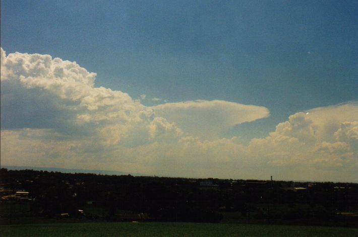 anvil thunderstorm_anvils : Rooty Hill, NSW   4 March 1999