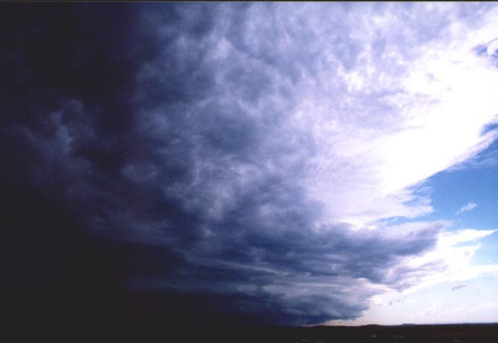 contributions received : Evans Head, NSW<BR>Photo by Halden Boyd   5 March 1999