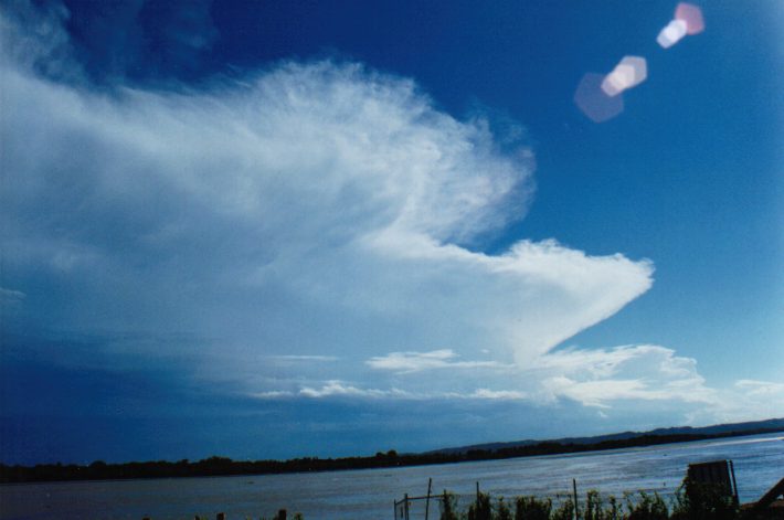 contributions received : Ballina, NSW<BR>Photo by John Bath   5 March 1999