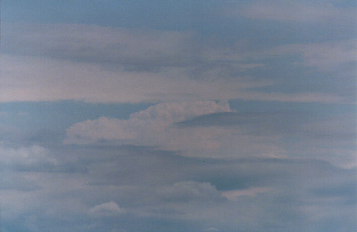 altocumulus lenticularis : Scone, NSW   7 March 1999