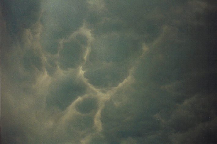 mammatus mammatus_cloud : Rooty Hill, NSW   12 March 1999
