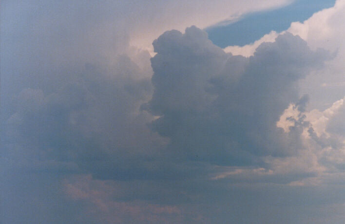 cumulus congestus : Rooty Hill, NSW   13 March 1999