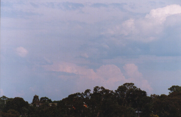 cumulus mediocris : Rooty Hill, NSW   13 March 1999
