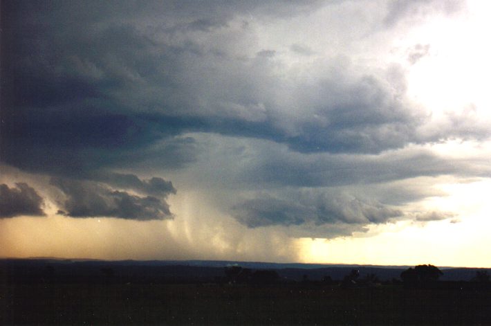 raincascade precipitation_cascade : Luddenham, NSW   13 March 1999