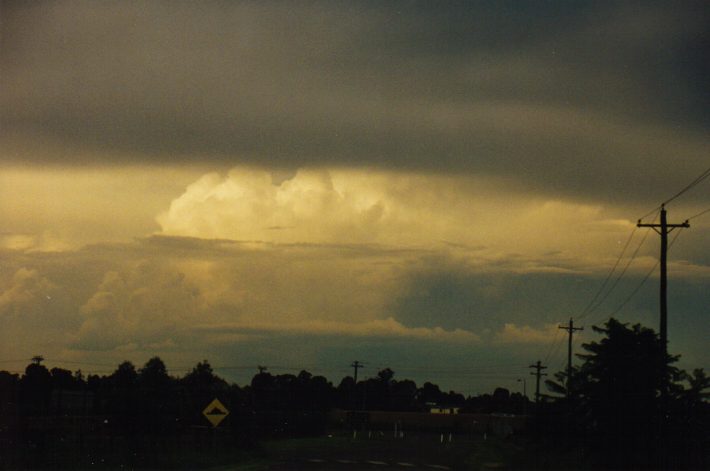 thunderstorm cumulonimbus_calvus : East Richmond, NSW   13 March 1999