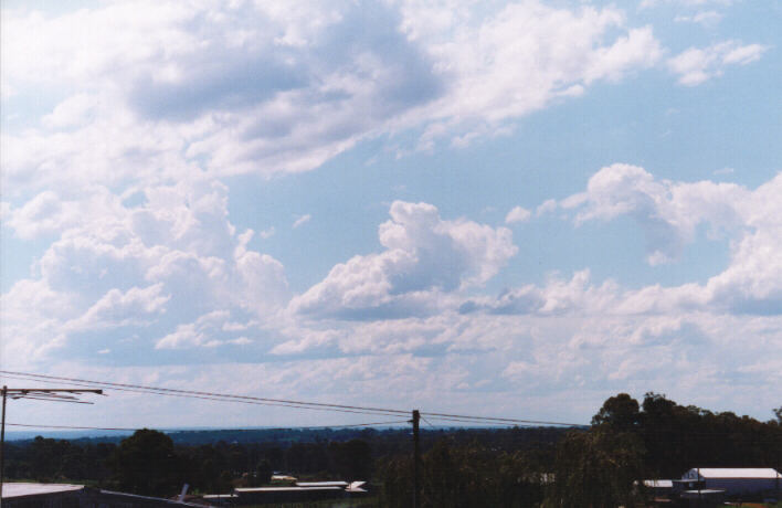 cumulus congestus : Schofields, NSW   14 March 1999