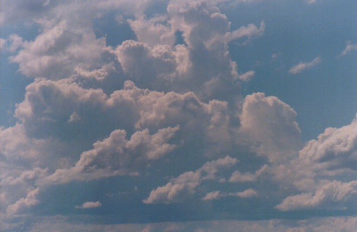cumulus mediocris : Schofields, NSW   14 March 1999