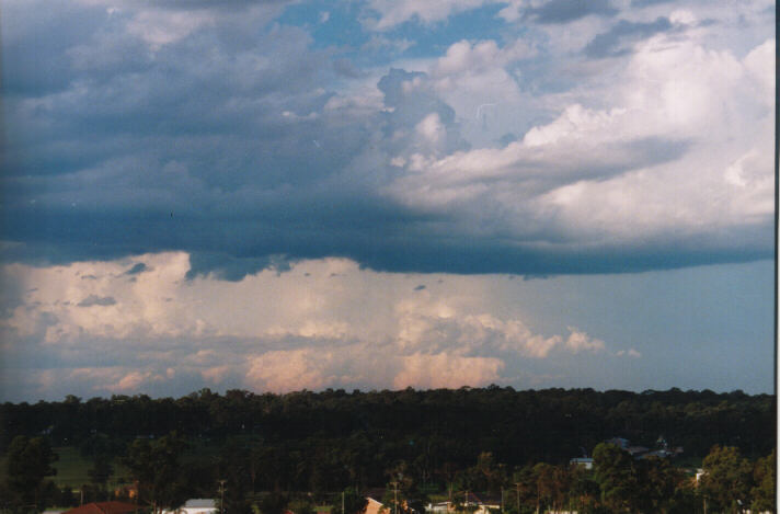 cumulus congestus : Schofields, NSW   14 March 1999