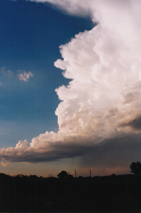 thunderstorm cumulonimbus_incus : Schofields, NSW   14 March 1999