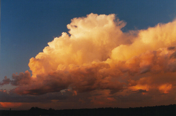 thunderstorm cumulonimbus_calvus : Schofields, NSW   14 March 1999