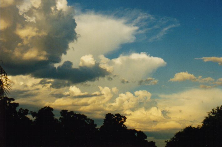 thunderstorm cumulonimbus_incus : Oakhurst, NSW   14 March 1999