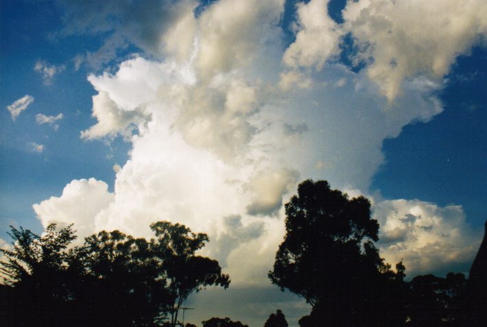thunderstorm cumulonimbus_calvus : Oakhurst, NSW   14 March 1999