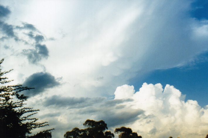 thunderstorm cumulonimbus_incus : Oakhurst, NSW   14 March 1999