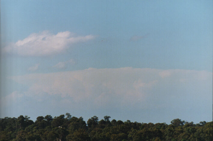 thunderstorm cumulonimbus_incus : Schofields, NSW   15 March 1999