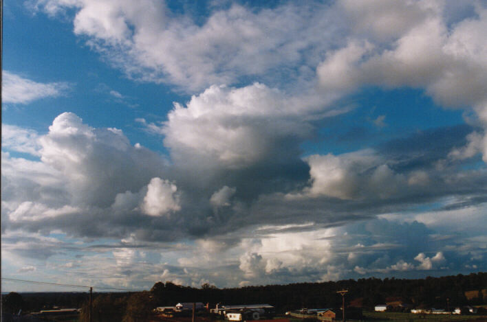 thunderstorm cumulonimbus_calvus : Schofields, NSW   10 April 1999