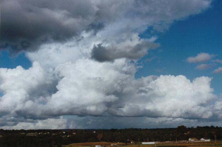 thunderstorm cumulonimbus_calvus : Schofields, NSW   10 April 1999