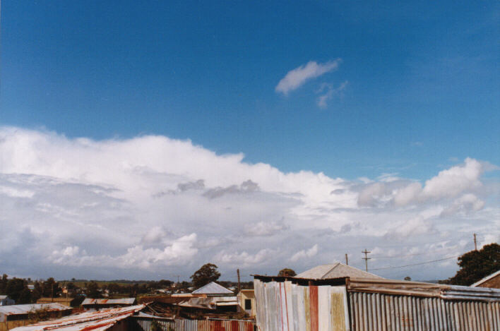cumulus mediocris : Schofields, NSW   11 April 1999