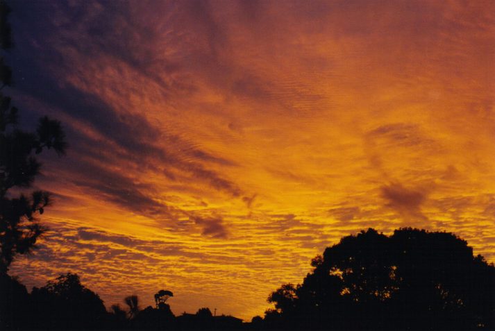 sunset sunset_pictures : Wollongbar, NSW   31 May 1999