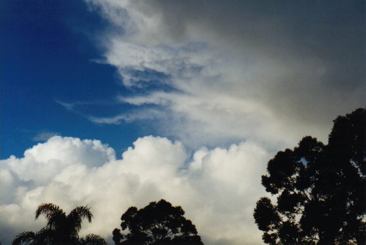 mammatus mammatus_cloud : Wollongbar, NSW   4 June 1999