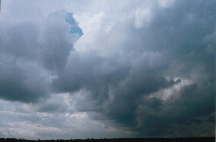 cumulonimbus thunderstorm_base : Schofields, NSW   9 July 1999