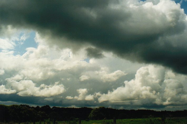 thunderstorm cumulonimbus_calvus : Rous, NSW   7 September 1999
